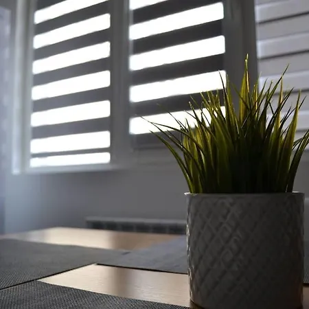 Modern Center 2 Bedroom Daire *